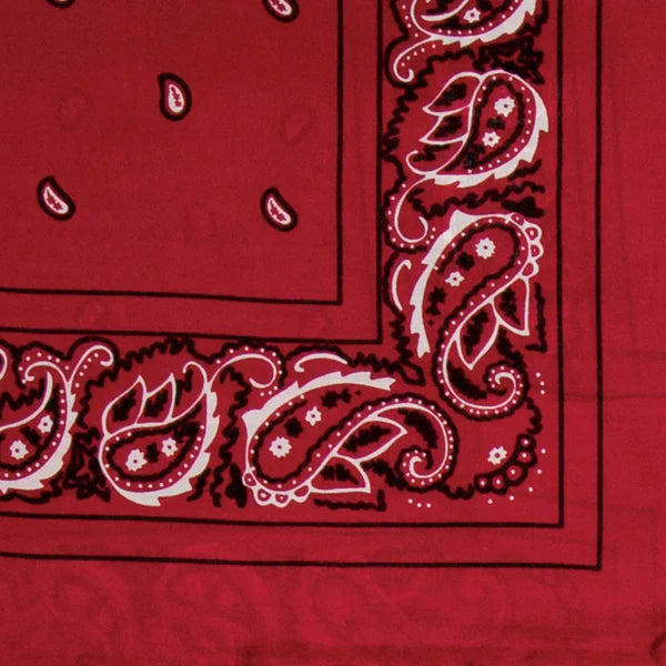 Wyoming Traders 20" Red Silk Bandana Scarf