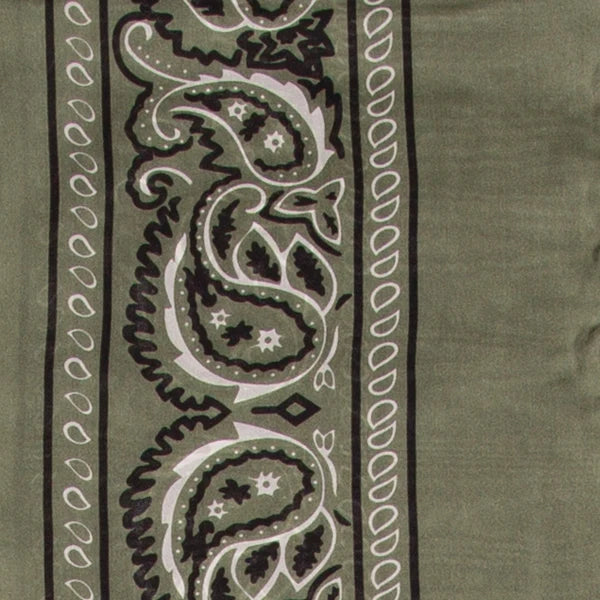 Wyoming Traders 20" Sage Silk Bandana Scarf