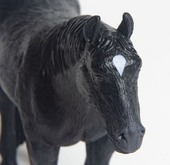 Quarter Horse Black