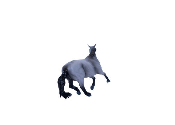 Barrel Horse Gray Gelding
