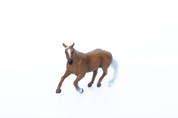 Barrel Horse Palomino