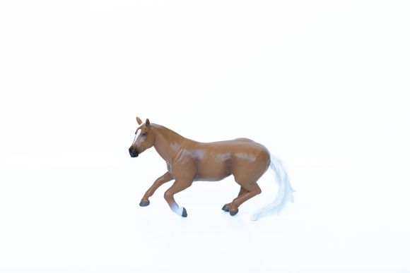 Barrel Horse Palomino