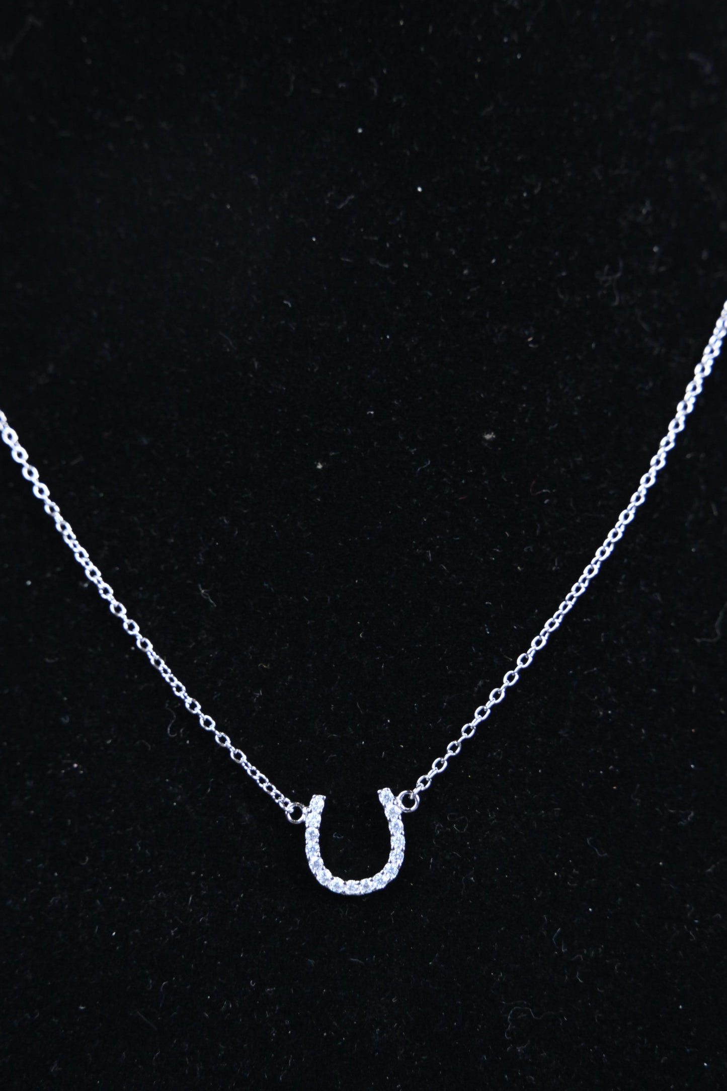 Sterling Silver Horseshoe Necklace