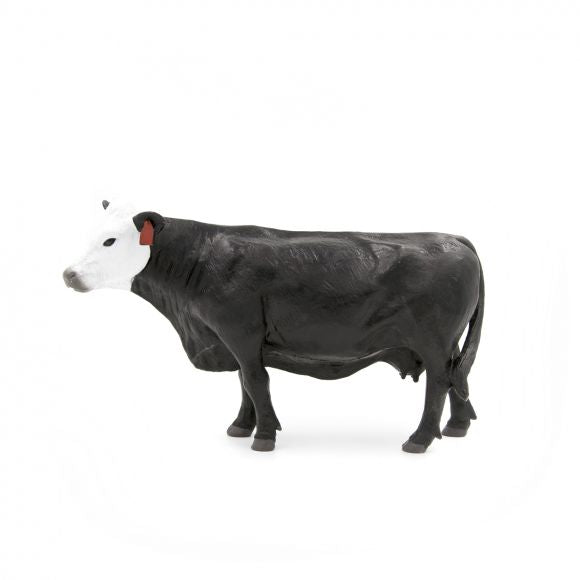Black/White Face Cow