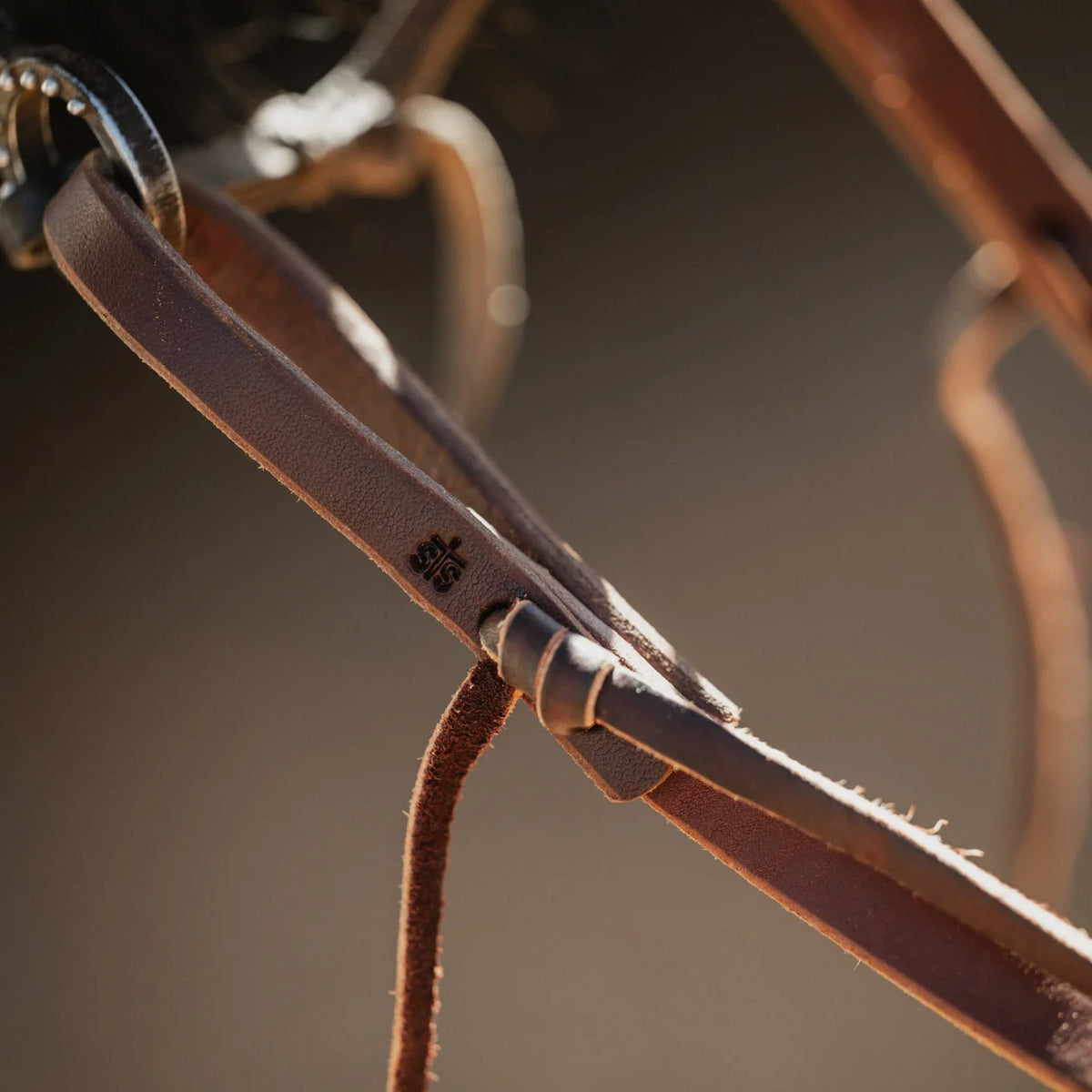 STS Ranch Signature Tack Harness Leather Split Rein, Water Tie Ends, 8' on a horse outside close up n bridle