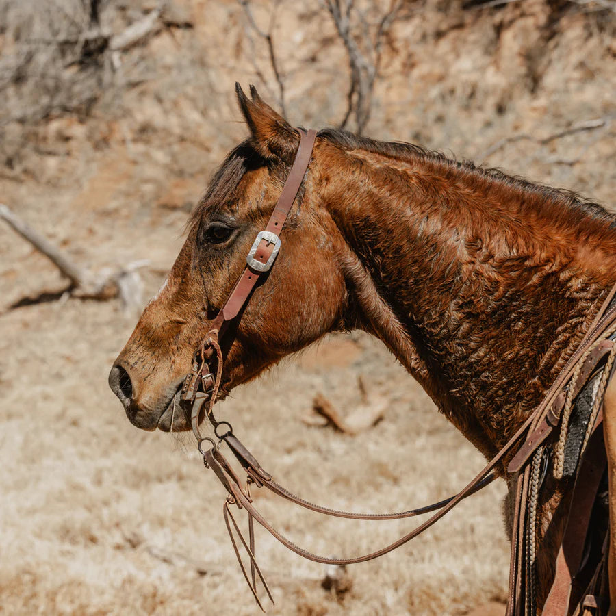 STS Split Ear Headstall 1", Topper