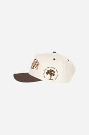 Together for Texas-Hat