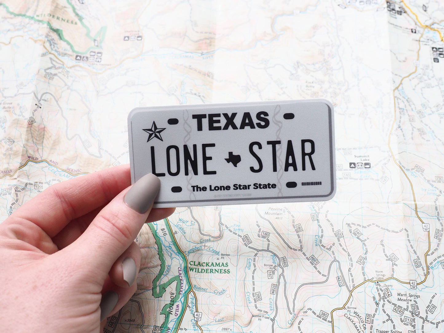 Lone Star License Plate Sticker