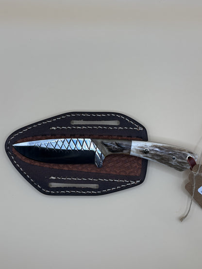 Exotic Texas Knives D2 Elk Ram Handle Knife – Premium Men's Hunting & EDC Knife