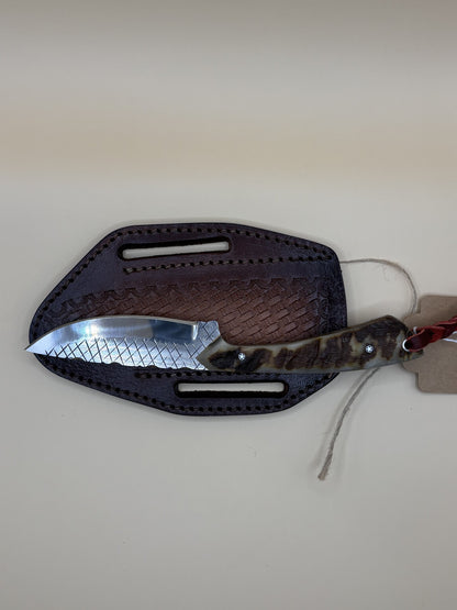Exotic Texas Knives D2 Ram Horn Handle Knife – Premium Handmade Fixed Blade