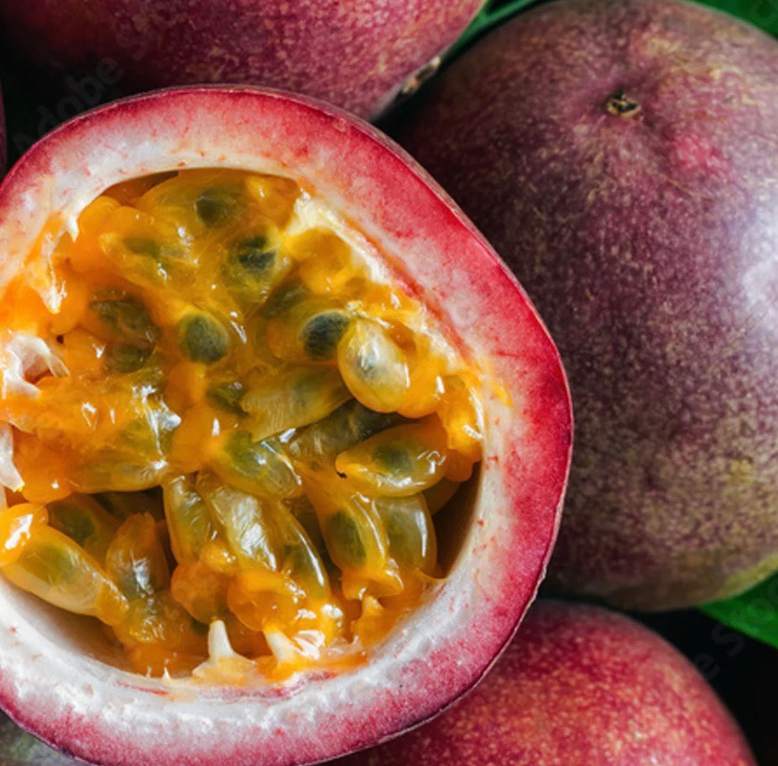 One Night in Rio Smart Vial