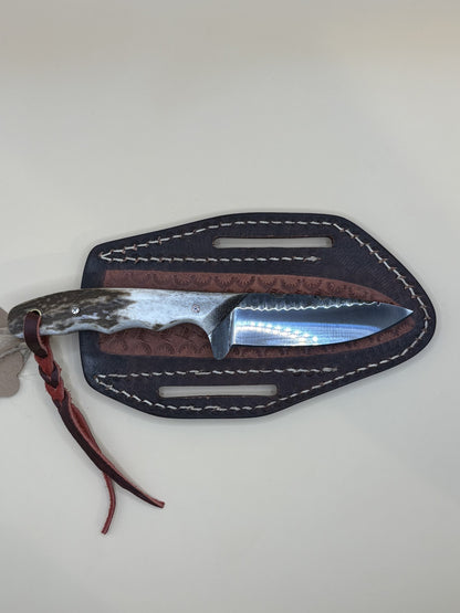 Exotic Texas Knives D2 Elk Antler Handle Skinner Knife – Handmade Fixed Blade