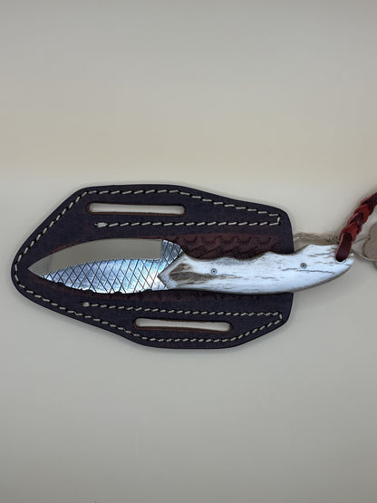Exotic Texas Knives D2 Elk Antler Handle Skinner Knife – Handmade Fixed Blade