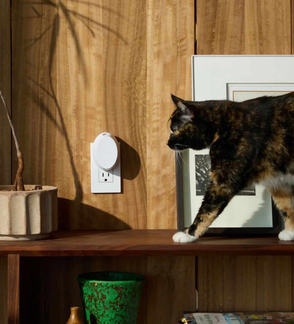 Pura Mini Home Diffuser