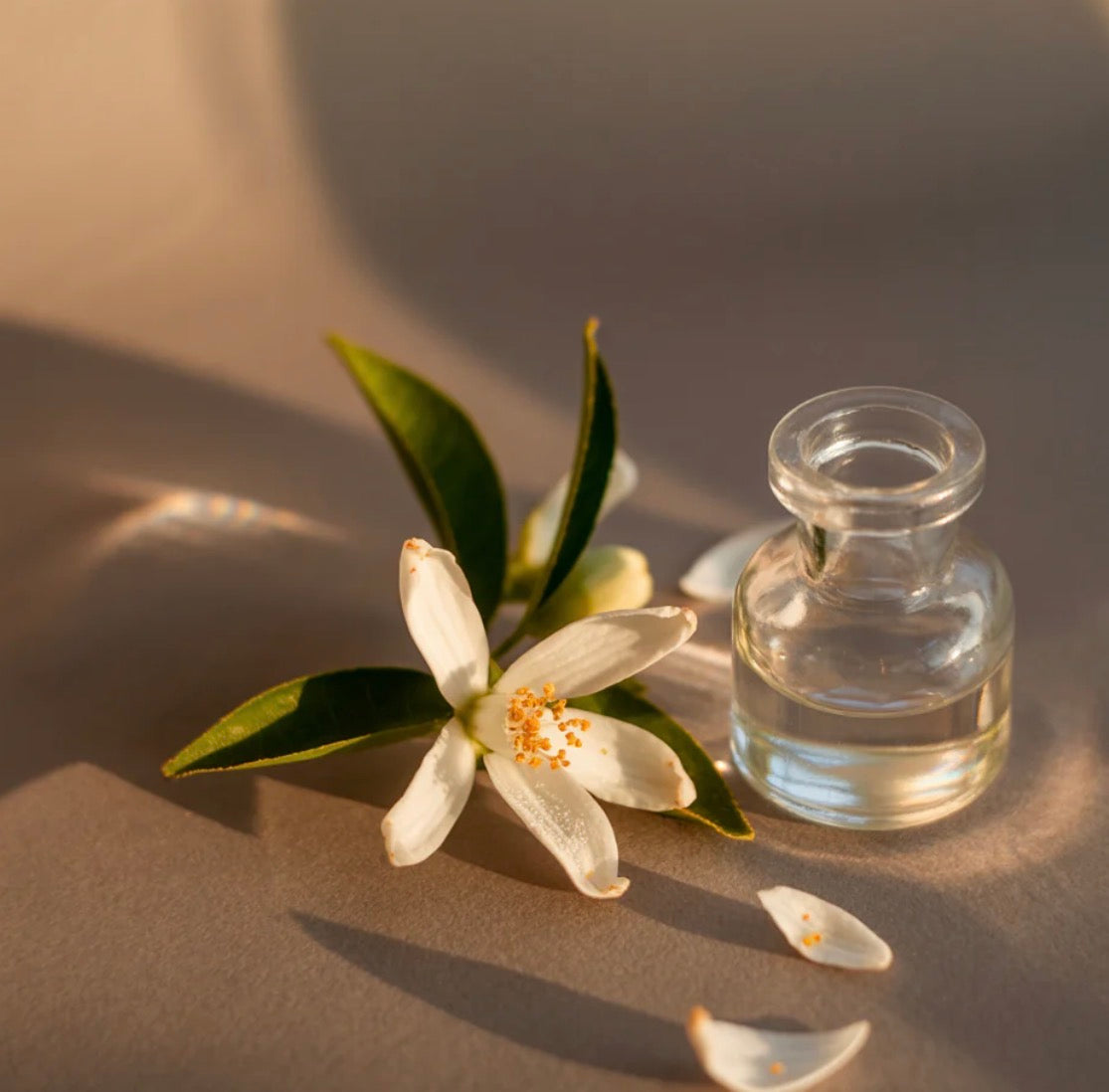 Linens & Surf Smart Vial