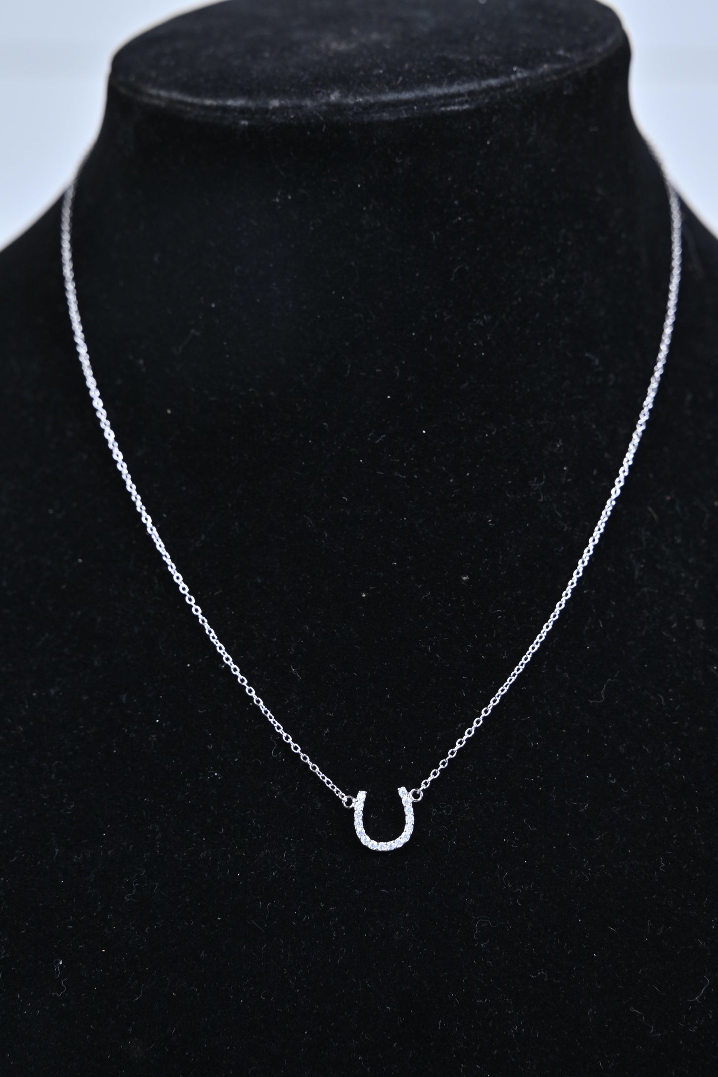 Sterling Silver Horseshoe Necklace