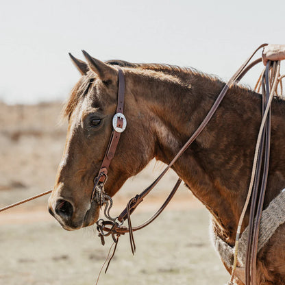 STS Split Ear Headstall 1", Destiny