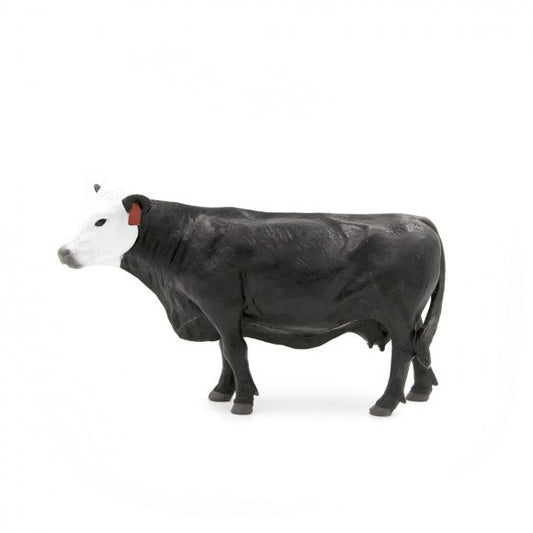 Black/White Face Cow
