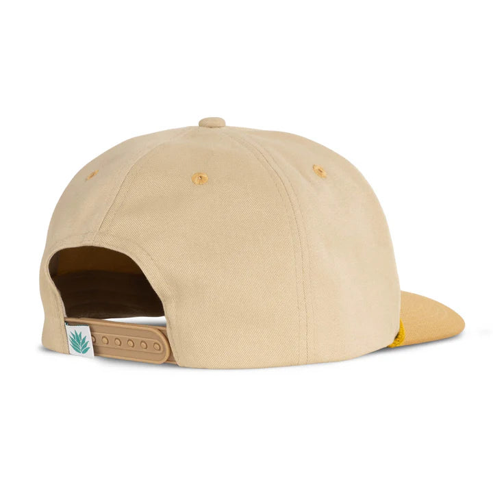 Sendero Triceratops Hat