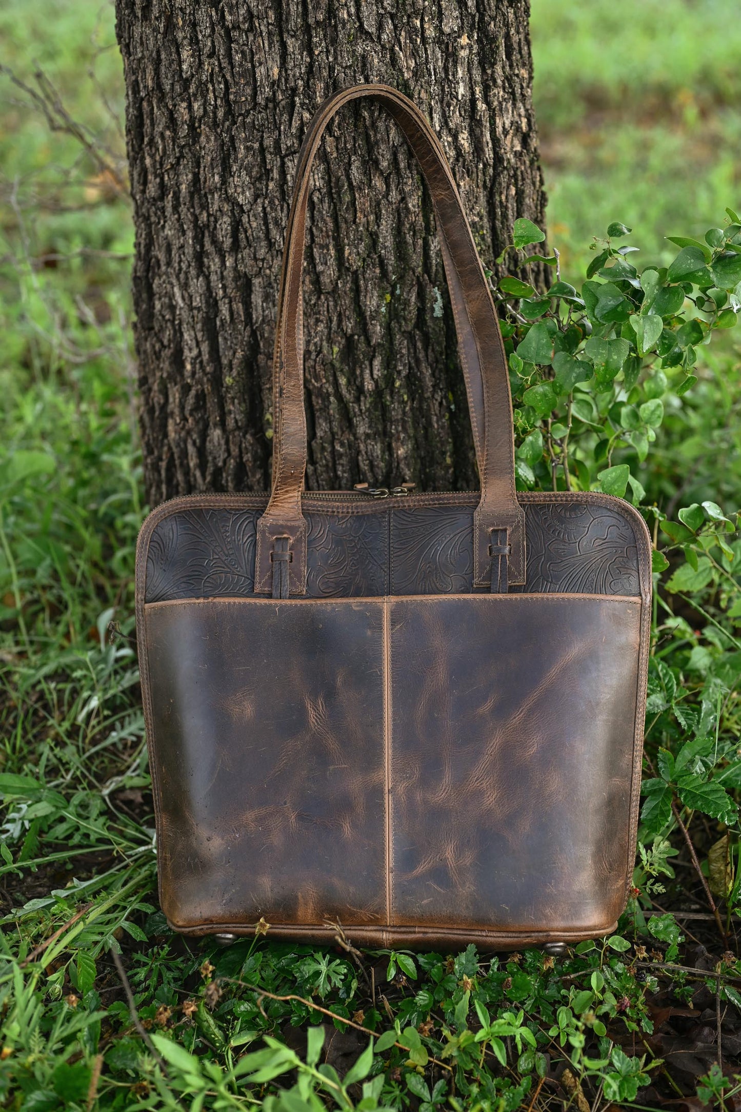 Chaynee Mountain Laptop Shopper