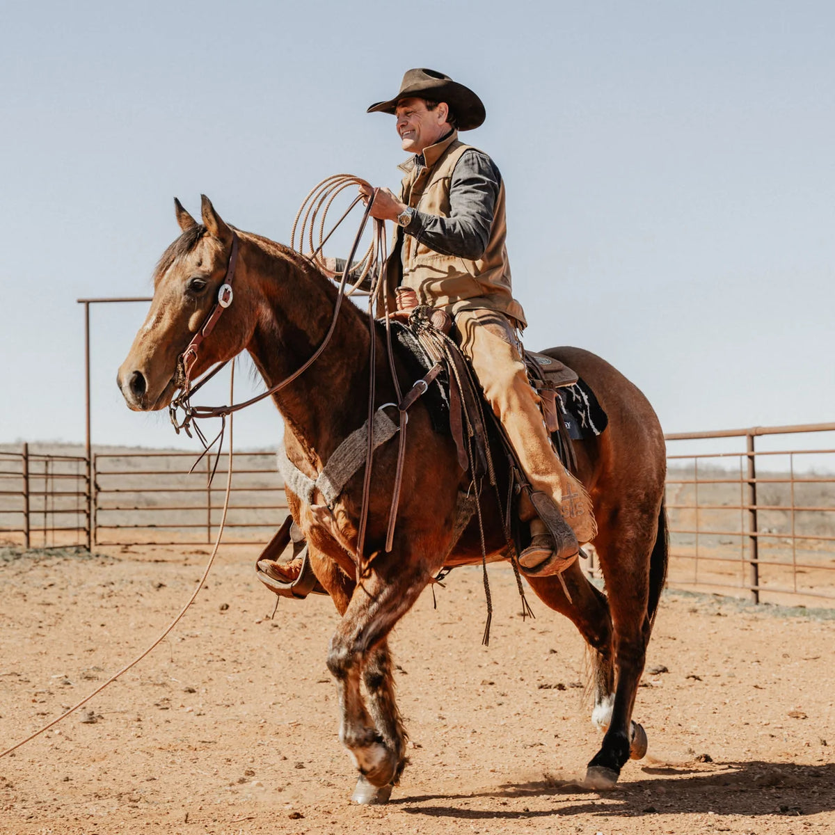 STS Ranch Signature Tack Harness Leather Split Rein, Pineapple Knot, 8' used on a headstall on horse with cowboy and rope