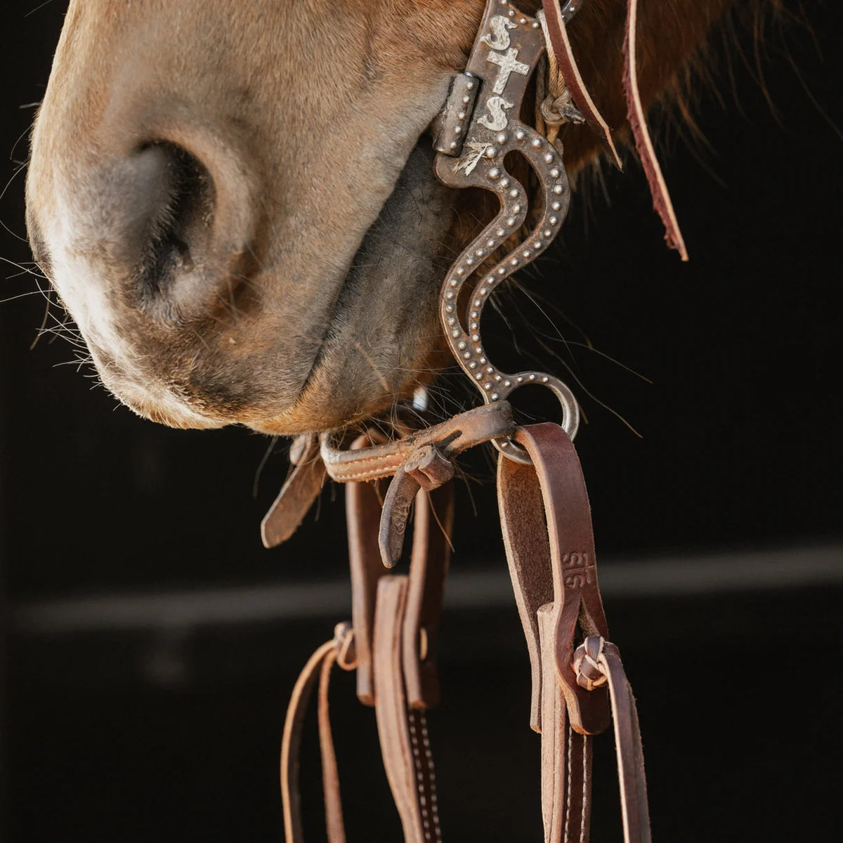 close up of STS Ranch Signature Tack Harness Leather Split Rein, Pineapple Knot, 8' on a bit with horse's nose
