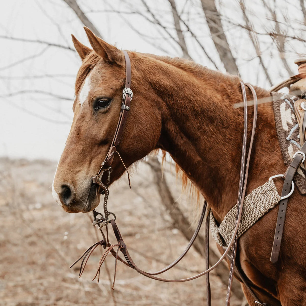 STS Sliding Ear Headstall 3/4", Riflemanon a horse outdoors 