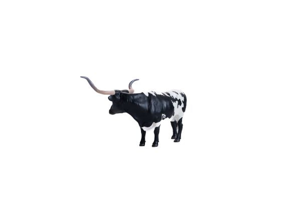 Texas Longhorn Steer Black & White