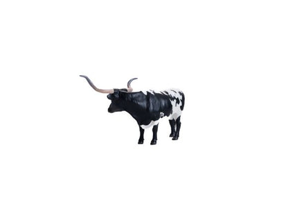 Texas Longhorn Steer Black & White