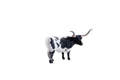 Texas Longhorn Steer Black & White