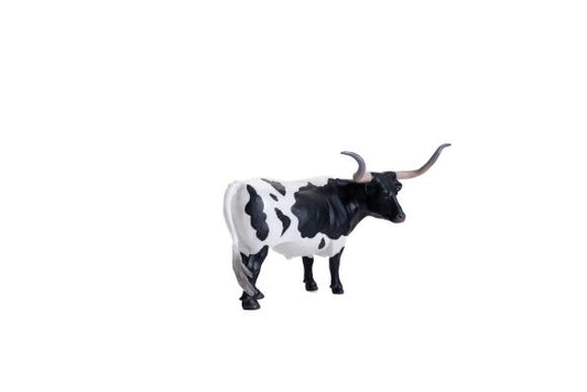 Texas Longhorn Steer Black & White