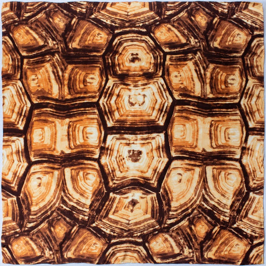 Wyoming Traders 34.5" Turtle Shell Charmeuse Silk Scarf