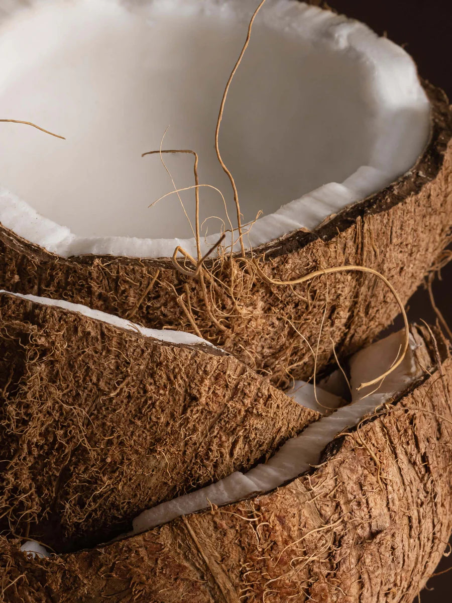Diffuser Refill - Coconut Milk Mango Scent